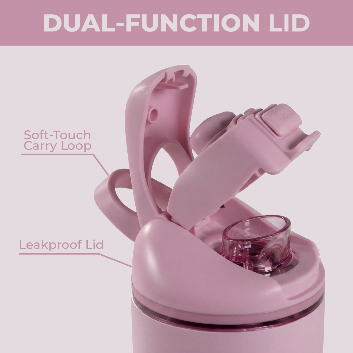 sweet-pea-h6 Ease24-Sweetpea-WPI-6.png