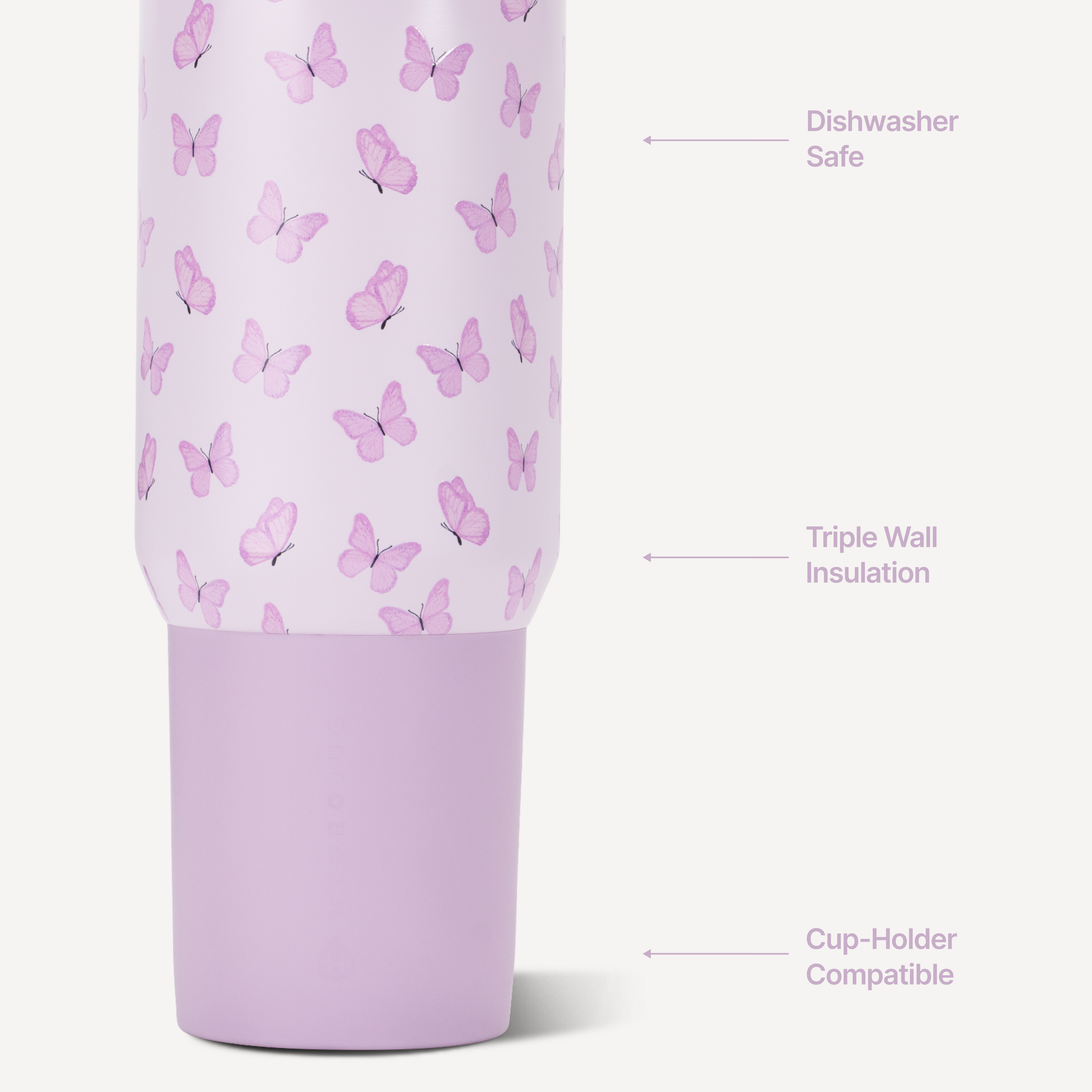 flutter-c5 Sport20-Flutter-3-WPI.png