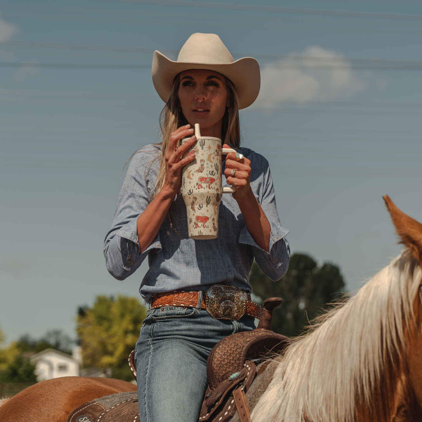 rodeo-y0 TRVL-Rodeo-6WPI.png